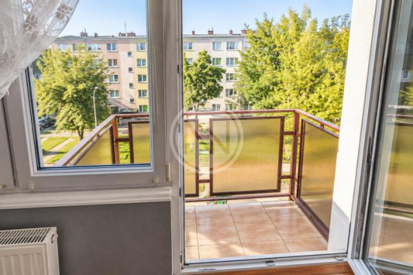 Włocławek, Kazimierza Wielkiego, 3 POKOJE| KAZ. WLK. | KRĘTA | PARKING |
